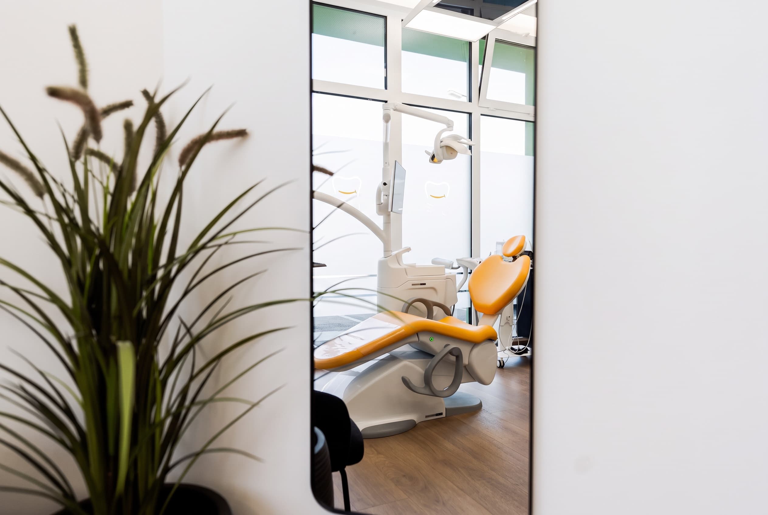 Behandlungsstuhl im Spiegel, davor eine Pflanze in der Ordination dentalReinisch